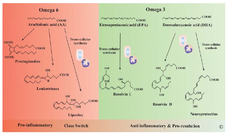 Fig. (5)