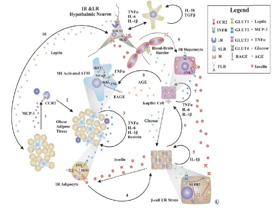 Fig. (3)