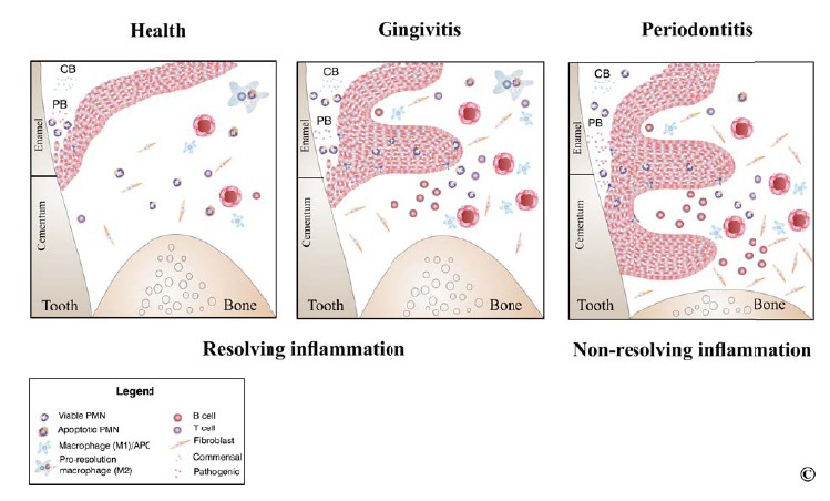 Fig. (4)