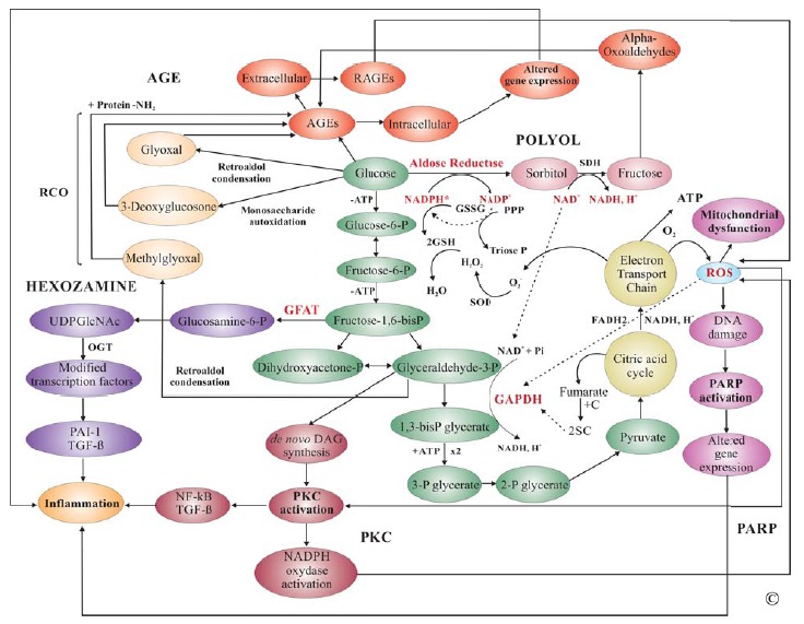 Fig. (2)