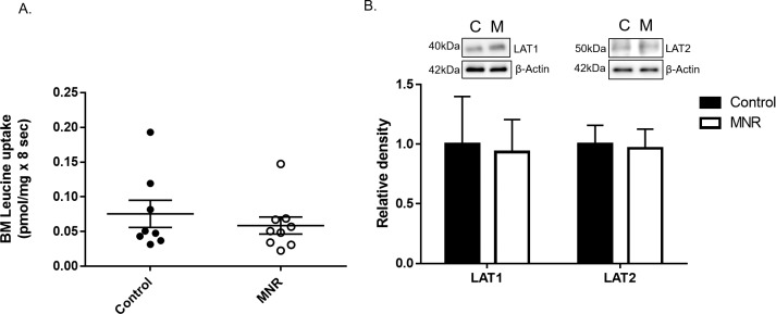 FIG. 6