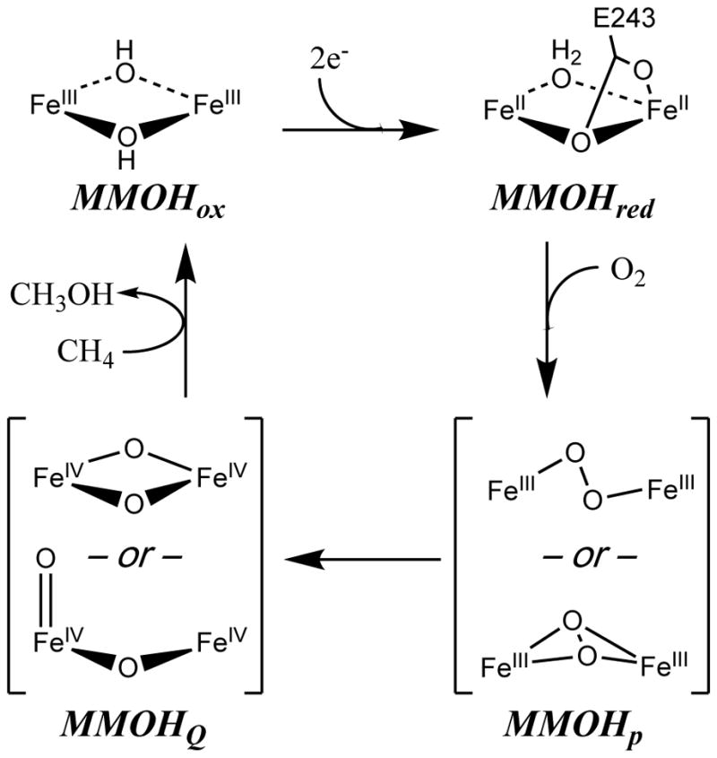 Scheme 1