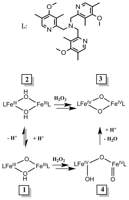 Scheme 2