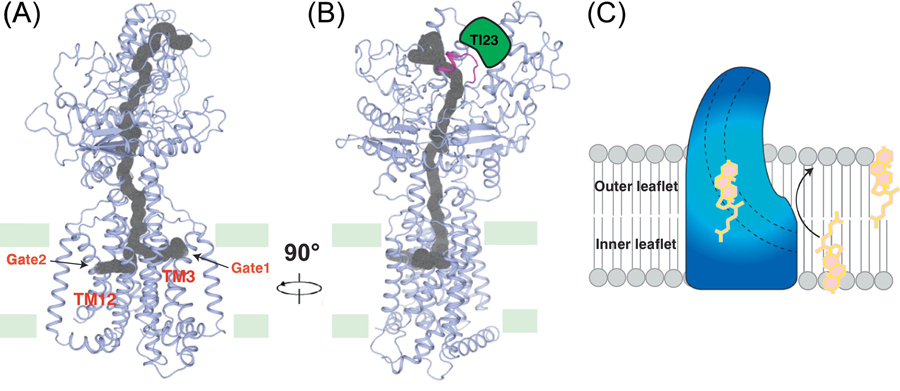 Figure 4