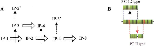 Fig. 8.