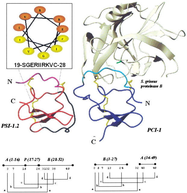 Fig. 7.