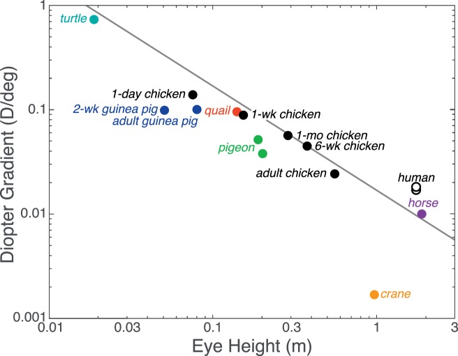 Figure 20