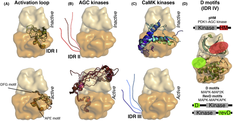 Figure 2.