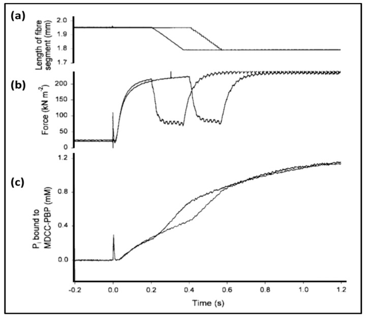 Figure 16