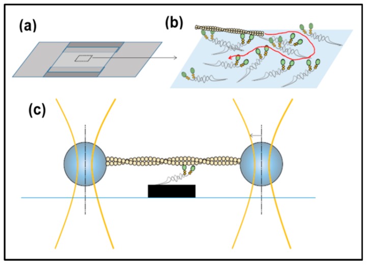 Figure 17