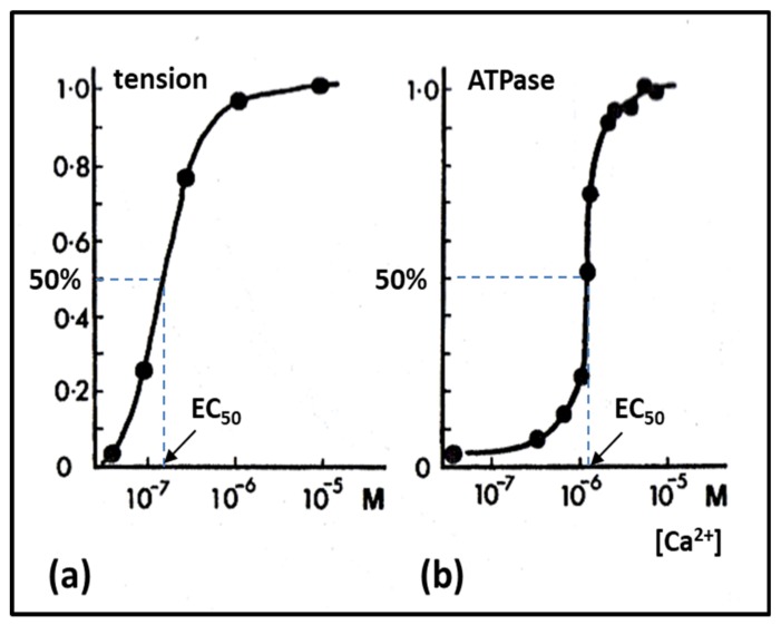 Figure 23