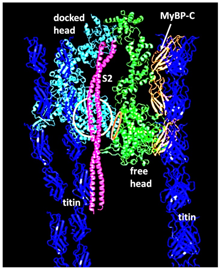 Figure 22