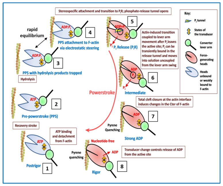 Figure 19