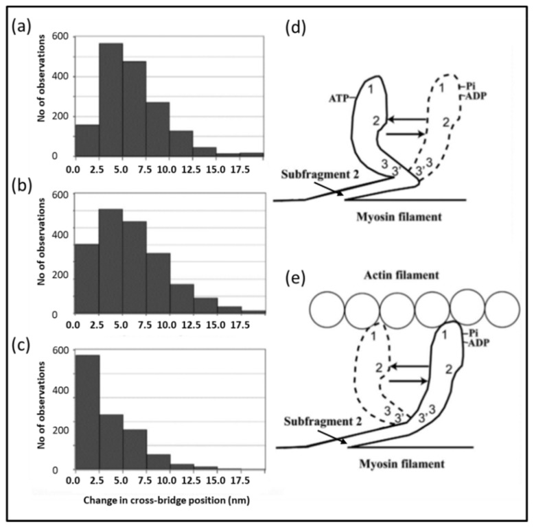 Figure 20