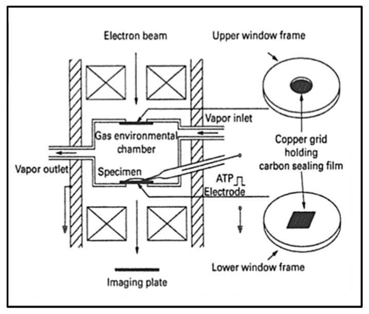 Figure 18