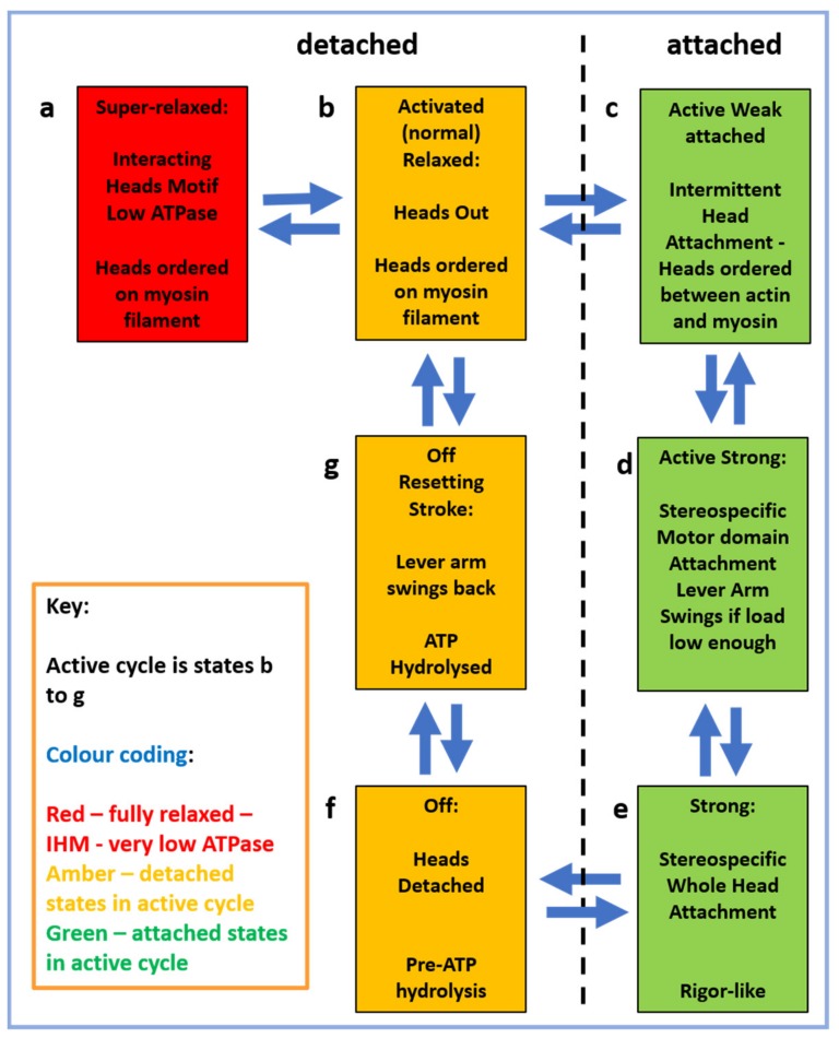 Figure 21