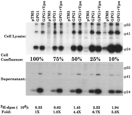 FIG. 1