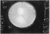 634-2