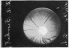 634-2
