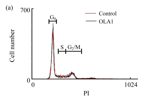 Fig.2