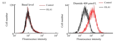 Fig.2