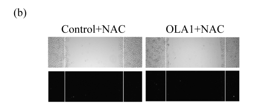 Fig.3