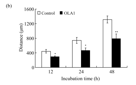 Fig.1