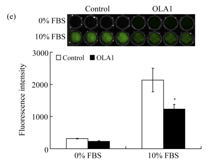 Fig.1