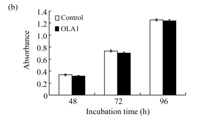 Fig.2