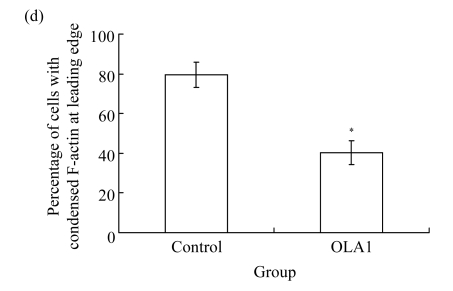 Fig.1