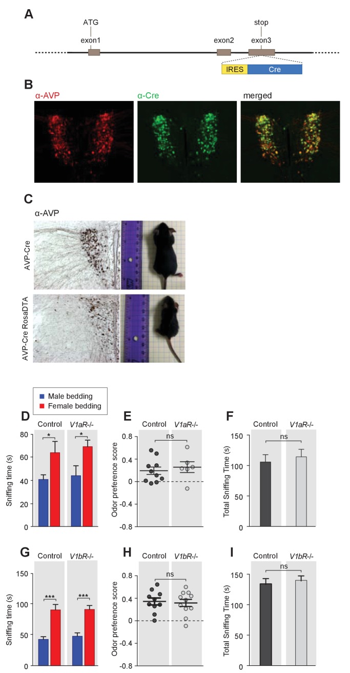 Figure 2—figure supplement 1.