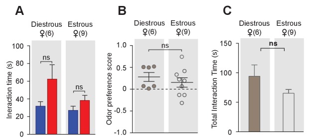 Figure 1—figure supplement 1.