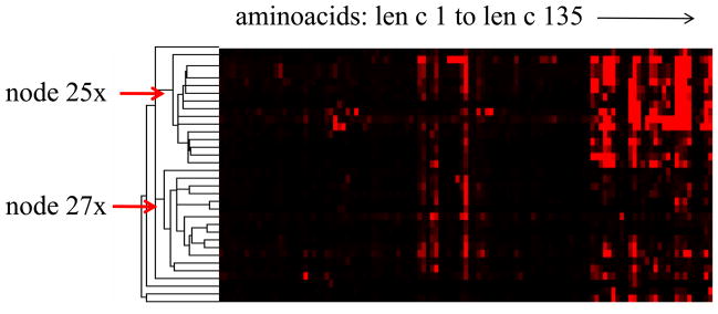 FIG 2