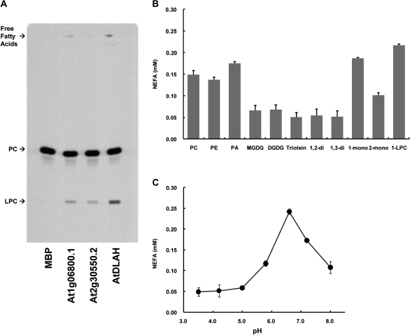 Fig. 2.