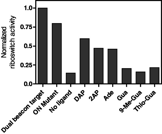 Figure 5.