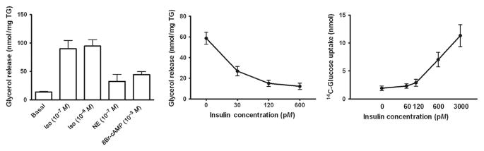 Figure 4.2