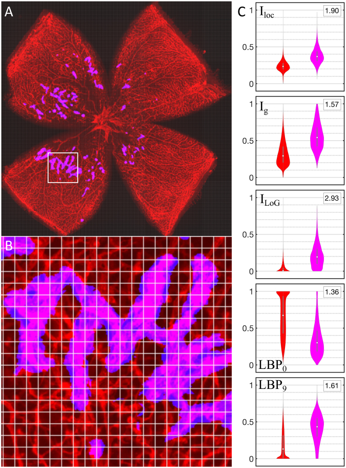 Figure 2