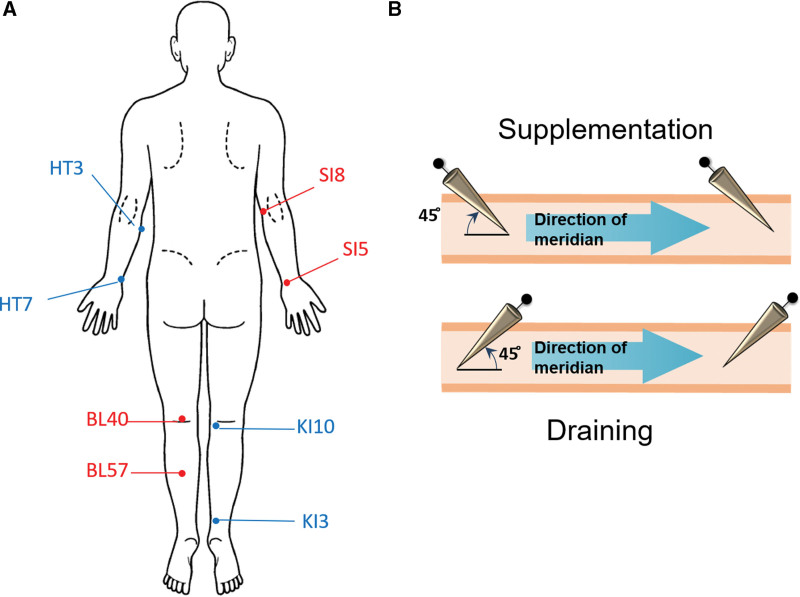 Figure 2.