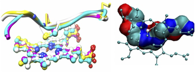 Fig. 8.