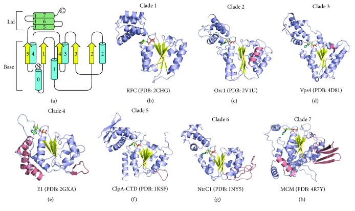 Figure 2