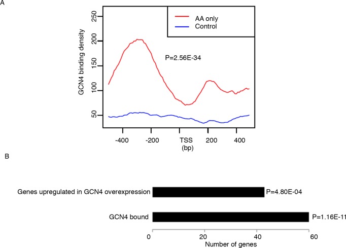 Figure 4—figure supplement 3.