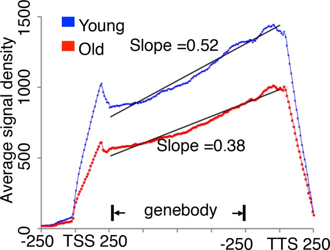 Figure 2—figure supplement 5.
