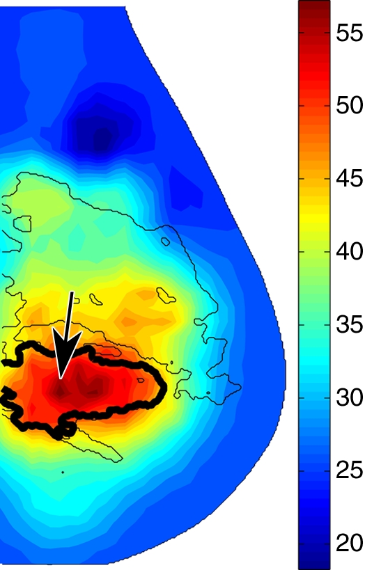 Figure 5b: