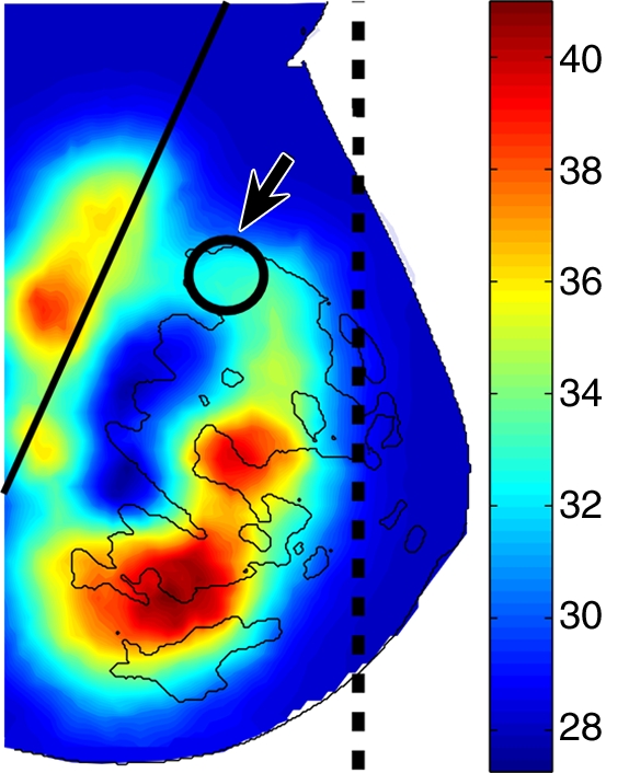 Figure 6b: