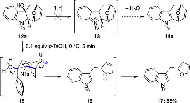 Scheme 4