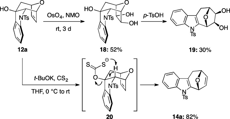 Scheme 5