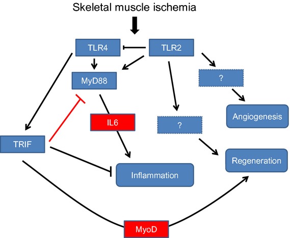 Figure 10.