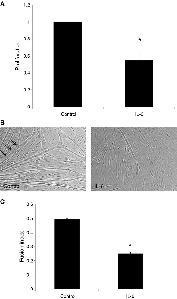 Figure 9.