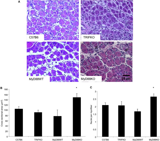 Figure 6.