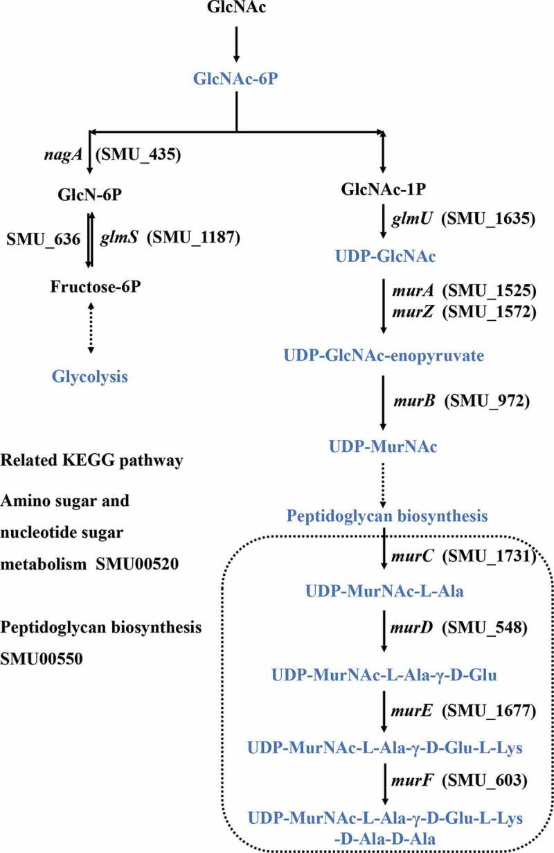 Figure 4.